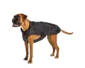 Produktbild: Fashion Dog Hundemantel Hundemantel speziell für Boxer, schwarz, 60 cm
