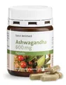 Produktbild: Sanct Bernhard Sanct Bernhard Ashwagandha 600 mg- 60 {<!-- -->{ Vorgang.EigeneFelder.Otto.Darreichungsform }}