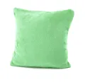 Produktbild: heimtexland ® Flanell Kuschel Kissen Super Soft Dekokissen Plüsch Typ380 Kissenhülle Apfelgruen 40x40 cm
