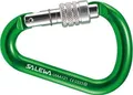 Produktbild: Salewa HMS SCREW G2 Karabiner, medium, grün