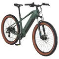 Produktbild: Prophete E-Bike MTB Dice 1.0 Vollintegriert Bronze Grün Matt 27,5 Zoll