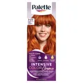 Produktbild: Palette Intensive Color Creme 7-77 Intensives Kupfer Haarfarbe