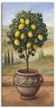 Produktbild: ARTLAND Wanddeko Leinwand Bilder Wandbild 50x100 cm Toskana Zitrone Baum Italien Landschaft Mediterran Botanik Terracotta T4MN