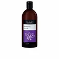 Produktbild: Ziaja Lavanda Champú Para Cabello Graso 500ml