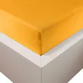 Produktbild: Traumschloss Spannbetttuch »Premium Plus« Mako Baumwolle mit Lyocell & Elasthan | Edel-Jersey | wärmt im Winter & kühlt im Sommer | Gold | 90-120x200-220cm