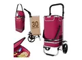 Produktbild: 24MOVE® Einkaufstrolley VEHLO 3in1 Trolley faltbarer Einkaufswagen mit Kühlfach, rot