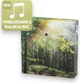 Produktbild: Deko Soundbox mit Bewegungsmelder - Natur- und Wellnessklänge 12x12cm