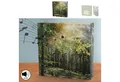 Produktbild: CEPEWA Bewegungsmelder Soundbox 'Wald' Bewegungssensor 12x12x3,5cm Pappe Kunststoff