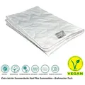 Produktbild: Bach's Bettenwelt Sommerbettdecke Preishit Hanf Xclusive extra leichte Sommerdecke, Füllung: 70% feinste Hanffaser 30% Baumwolle, Hergestellt in Deutschland weiß 155 cm x 220 cm