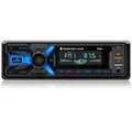 Produktbild: RDS Autoradio Bluetooth mit Typ-C-Ladeanschluss, Wistrue FM/AM Autoradio 1DIN Unterstützt 2USB/AUX/SD/TF/EQ/DSP/MP3 Player