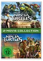 Produktbild: Teenage Mutant Ninja Turtles/Teenage Mutant Ninja Turtles Out Of The Shadows [2 DVDs]