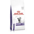 Produktbild: ROYAL CANIN Dental S/O DSO 29 3kg + Überraschung für die Katze