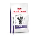Produktbild: Royal Canin Expert DENTAL | 3 kg | Alleinfuttermittel für ausgewachsene Katzen | Empfindlichkeiten der Mundhöhle | Zahngesundheit | Haarballen-Komplex