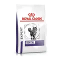 Produktbild: Royal Canin Expert Dental 3 kg | Katzen | Zähne | Zahnfleisch