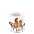 Produktbild: Kerze small Wild horses