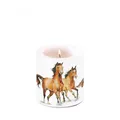 Produktbild: Ambiente kaars klein wild horses
