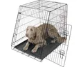 Produktbild: Transportbox KERBL klappbar 107x74x85 cm