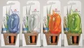 Produktbild: Scheurich Wasserspender Bördy M | 4er Set Lila/Grün/Transparent/Orange | 220 ml Füllmenge | Bewässerungskugel klein mit Ton Fuß | Wasserspender Pflanzen und Blumen Terrakotta Stiel