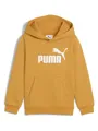 Produktbild: Puma Hoodie in Senf, Größe 104, Gelb, Kinder
