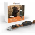 Produktbild: Weenect Hund Xt Gps Halsband Orange Wasserdicht Und Robust