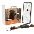Produktbild: Weenect Hund XT - NEUES GPS-Halsband für Hunde | XL-Antenne | Wasserdicht | Hyperresistentes integriertes Julius-K9 Halsband Orange Abonnement erforderlich
