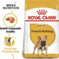 Produktbild: Royal Canin French Bulldog Adult 9kg