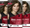 Produktbild: BRILLANCE Intensiv-Color-Creme 877 Helles Aschbraun, 3x 170 ML