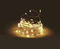 Produktbild: Spetebo Draht Lichterkette 5 m mit 100 Micro LED - warm weiß - Leuchtdraht Weihnachtsdeko