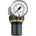 Produktbild: Riegler Druckregler »Standard-mini«, Schalttafelmutter, G 1/4, 0,5-16 bar