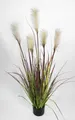 Produktbild: Kunstgras Pampasgras / Grasbusch 120cm LA Kunstpflanzen Dekogras künstliches Gras, Seidenblumen Roß, Höhe 120 cm