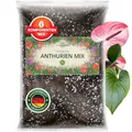 Produktbild: ORAGARDEN Anthurien Erde für Zimmerpflanzen und Garten - 3L Anthurien Substrat für Pflanzen, Palmen, Blumen - 6 Komponenten Blumenerde