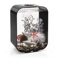 Produktbild: biOrb biOrb Life 15 MCR schwarz Acryl Aquarium