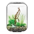 Produktbild: Oase biOrb LIFE 15 MCR schwarz Dekoration Aquarium Design