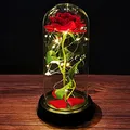 Produktbild: Geschenke für Frauen Die Schöne und das Biest Rose Muttertagsgeschenke für Mama Ewige Rose im Glas mit Licht in Glaskuppel Geschenke für Mama Oma Freundin Mädchen Mutter Geburtstagsgeschenk für Frauen