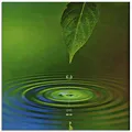 Produktbild: ARTland Wanddeko Glasbilder Wandbild Glas Bild einteilig Quadratisch Natur Wellness Zen Entspannung Wasser Wassertropfen Blätter Grün T5TK