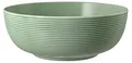 Produktbild: Seltmann Weiden Beat Color Glaze Foodbowl | 20 cm | Schale für Desserts, Suppen und Salate | Rillen-Relief | Porzellan | Salbeigrün
