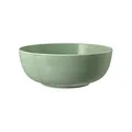 Produktbild: Seltmann Weiden Schale Foodbowl BEAT DH 20.40x7.90 cm grün