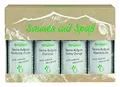 Produktbild: Bergland SAUNEN MIT SPASS Sauna-Aufguss-Set, 4 x 50 ml