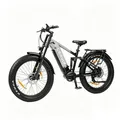 Produktbild: PIXAR E-bike Fatbike 500W 48V 20Ah Akku, Shimano 7-Gang, Hydraulische, 7 Gang, Mittelmotor grau