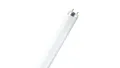 Produktbild: 4050300517773 Świetlówka G13 18W 1250lm 6500K 865 4050300517773 /25szt./ LEDVANC