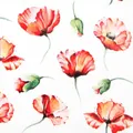 Produktbild: 20er Pack Servietten Poppy Drawing Mohnblumen 33x33cm Papier Home Fashion