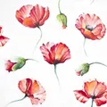 Produktbild: 20 Servietten Poppy Drawing - Gemalte Mohnblumen 33x33cm