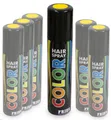 Produktbild: Fries Haarfarbe Haarspray Color Hair Spray Farbspray Haare Haar Sprühdose Farben 100ml, 1-tlg.