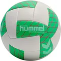 Produktbild: Hummel Evolution Advanced AR Handball - weiss