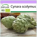 Produktbild: SAFLAX - BIO - Artischocke - Imperial Star - 5 Samen - Cynara scolymus
