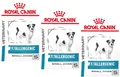 Produktbild: 3 x 1,5 kg Royal Canin Anallergenic Small Dogs (€ 17,32/kg) für Hunde Veterinary