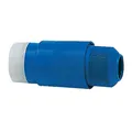 Produktbild: Stecker 30 A 220 V blau - 1 PC Osculati  - 14.332.00 - 1433200