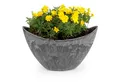 Produktbild: matches21 HOME & HOBBY Blumentopf Hohe Pflanzschale oval Vintage schwarz 20 x 12 cm wetterfest (1 St), Schiffchen Deko-Schale als Tischdeko Blumen-Schale Outdoor Garten-Deko
