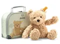 Produktbild: Teddybär JIMMY (25cm) im Koffer