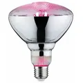 Produktbild: PAULMANN Grow Green Edition LED Reflektor Filament   E27 230V 200lm 6,5W 1300K  Wachstumslicht